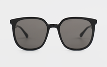 Load image into Gallery viewer, Horn DUO