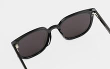 Load image into Gallery viewer, Horn DUO