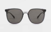 Load image into Gallery viewer, Horn DUO