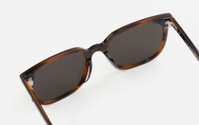 Load image into Gallery viewer, Horn LEDIN