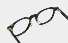 Load image into Gallery viewer, Horn ELISA BIG