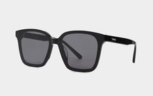 Load image into Gallery viewer, Horn MP