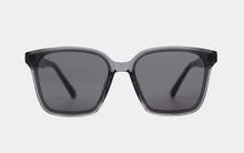 Load image into Gallery viewer, Horn MP