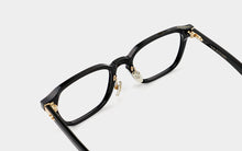 Load image into Gallery viewer, Horn RIO