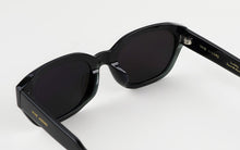 Load image into Gallery viewer, Horn LUZ