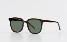 Load image into Gallery viewer, Horn NERO