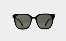 Load image into Gallery viewer, Horn RYU
